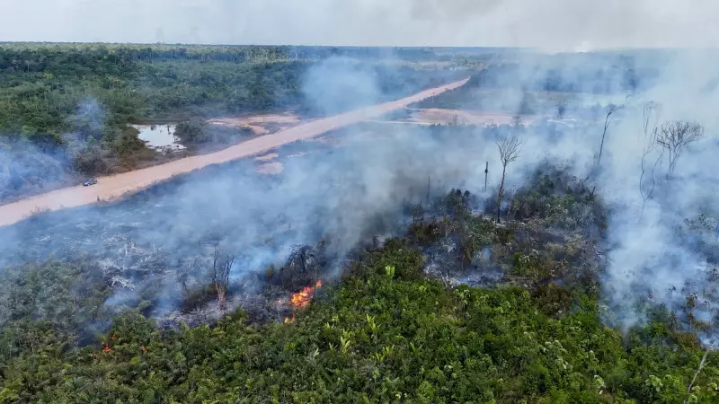 Desmatamento na Amazônia atinge menor nível em 10 anos: um alívio para o meio ambiente