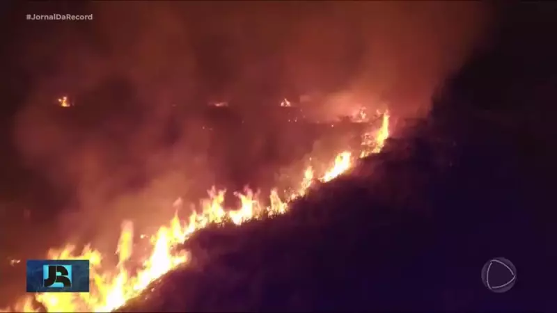 Desmatamento na Amazônia dispara 92% em comparação ao ano passado: alerta ambiental