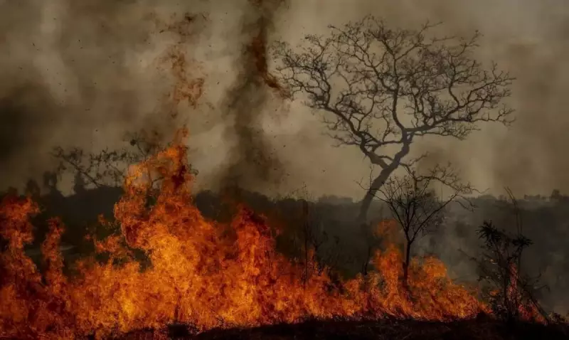 Desmatamento na Amazônia dispara 92% em maio e acende alerta para crise climática