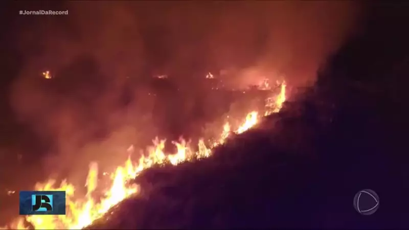 Desmatamento na Amazônia dispara 92% em um ano: alerta ambiental acende sinal vermelho