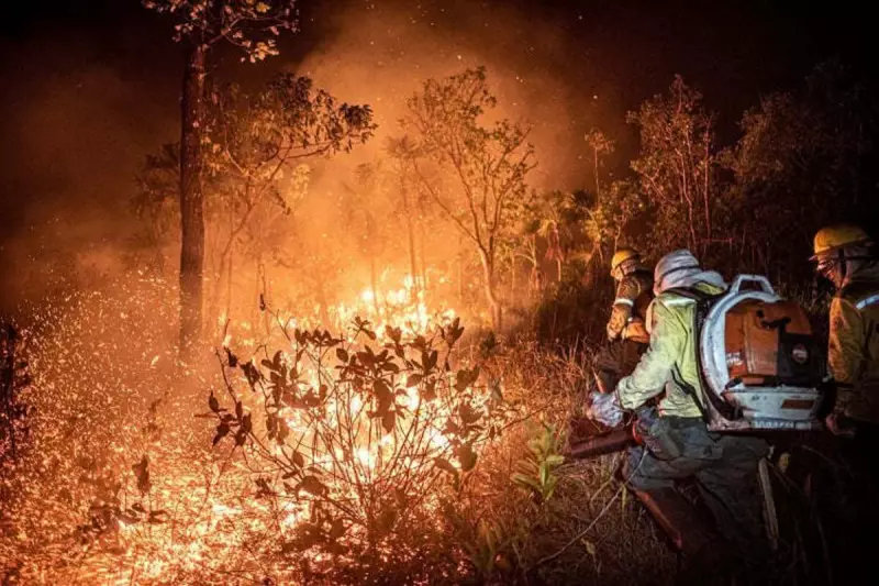 Desmatamento na Amazônia dispara em maio: dados alarmantes do INPE revelam aumento preocupante