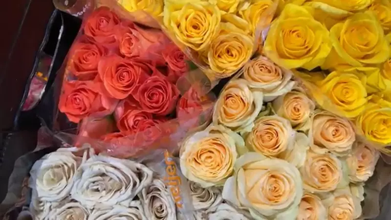 Dia dos Namorados 2025: CeAflor prevê alta de até 8% nas vendas de flores, chocolates e pelúcias
