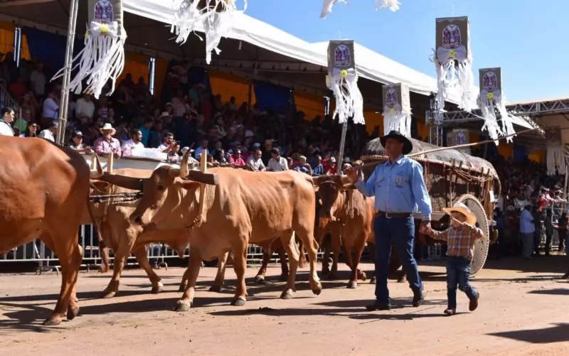 Dias na Estrada e Tradição: Descubra as Curiosidades do Encontro de Carreiros na Romaria do Divino Pai Eterno
