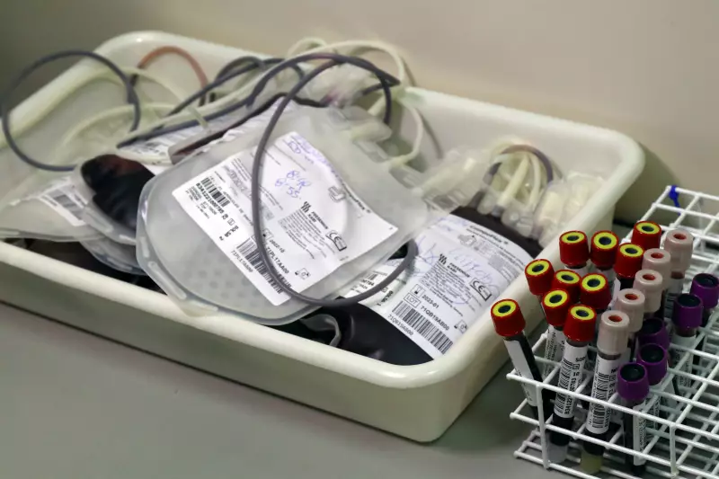 Doação de sangue: mitos e desinformação afastam potenciais doadores - Saiba como salvar vidas de forma simples