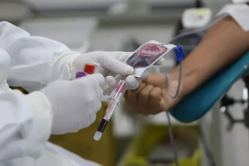 Doação de sangue na Bahia: como ajudar e salvar vidas
