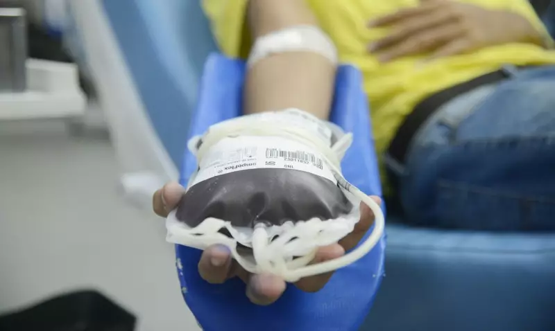 Doação de sangue voluntária: um gesto de amor que salva vidas no tratamento do câncer
