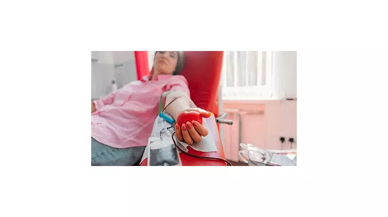 Doar sangue: um gesto de amor que salva até quatro vidas em minutos