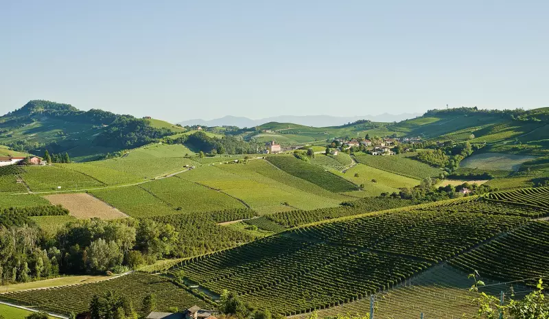 DOC x DOCG: Descubra as diferenças entre as classificações de vinhos e como escolher o melhor