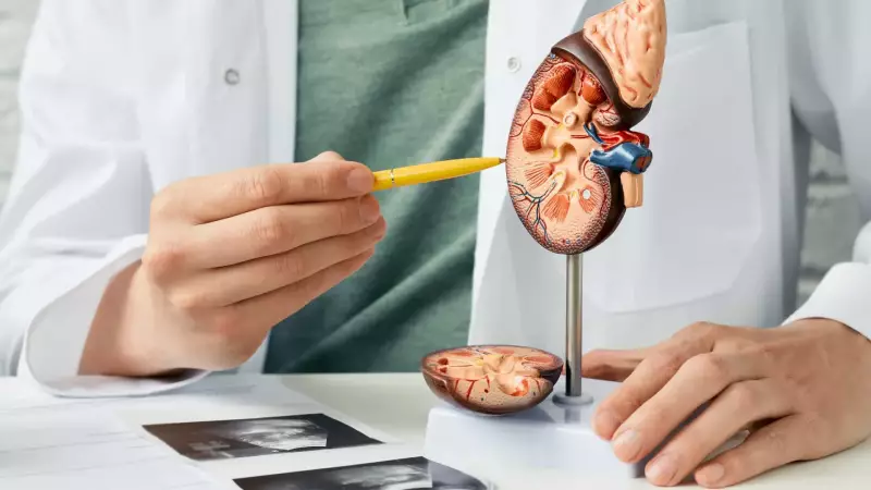 Doença Renal Crônica: 5 Sinais Silenciosos Que Você Não Pode Ignorar
