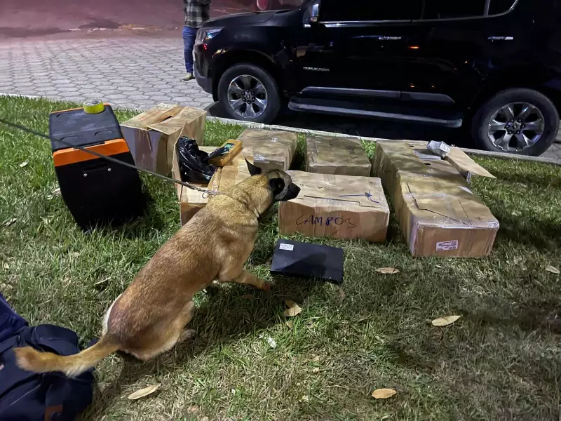 Dois jovens são presos com mais de 200 kg de drogas na Via Dutra, em Piraí