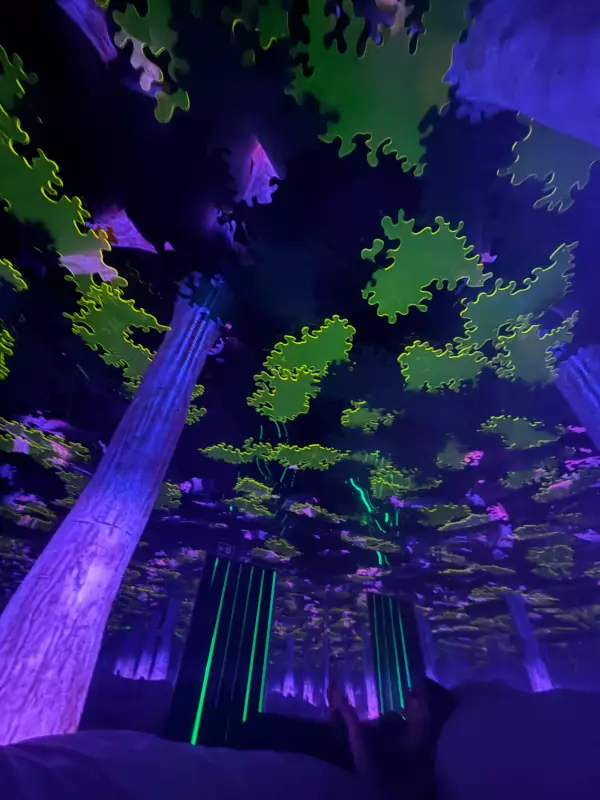 Dopamine Land: a atração interativa que une arte e tecnologia para liberar o hormônio da felicidade em SP