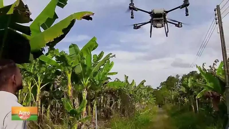 Drones Agrícolas: Como a Regulamentação Está Impulsionando o Uso no Campo Brasileiro
