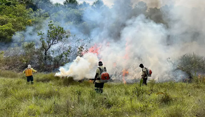 Dunas do Jalapão terão visitação suspensa para prevenir incêndios florestais