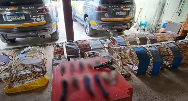 Dupla é presa pela PRF por sequestros e roubo de aves raras avaliadas em R$ 280 mil