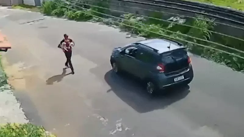 Dupla invade residência no Calhau, em São Luís, e leva TV e dois cães de estimação