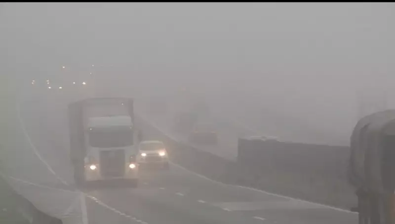 Dutra tem 250 km críticos para neblina entre SP e RJ: veja trechos e dicas de segurança