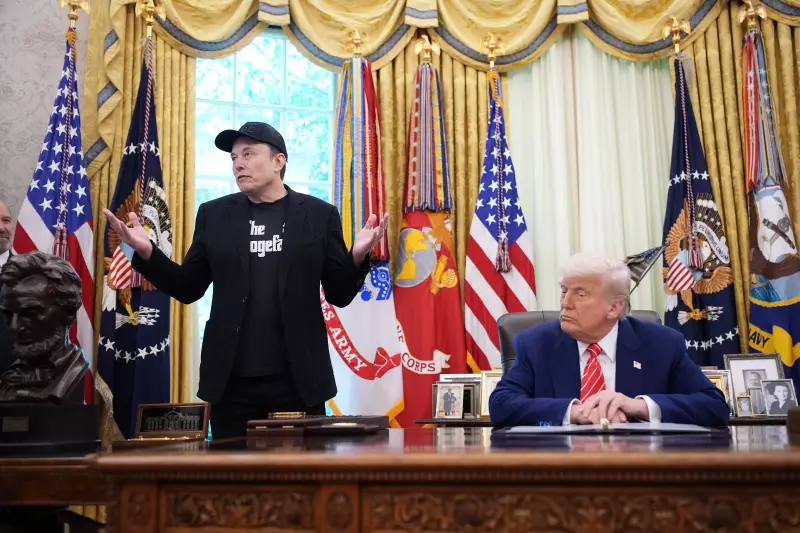 Elon Musk critica plano de cortes de gastos de Trump: 'Repugnante'