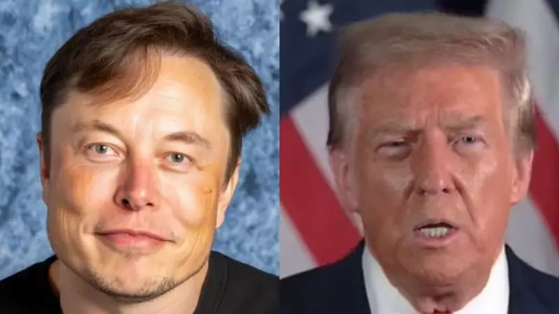 Elon Musk envolto em polêmica: CEO da Tesla agride secretário do Tesouro dos EUA em incidente na Casa Branca