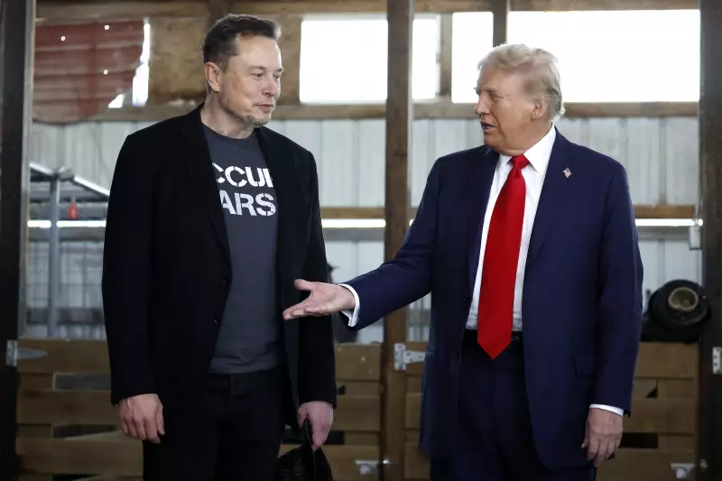 Elon Musk recua e apaga postagem que ligava Trump ao caso Epstein