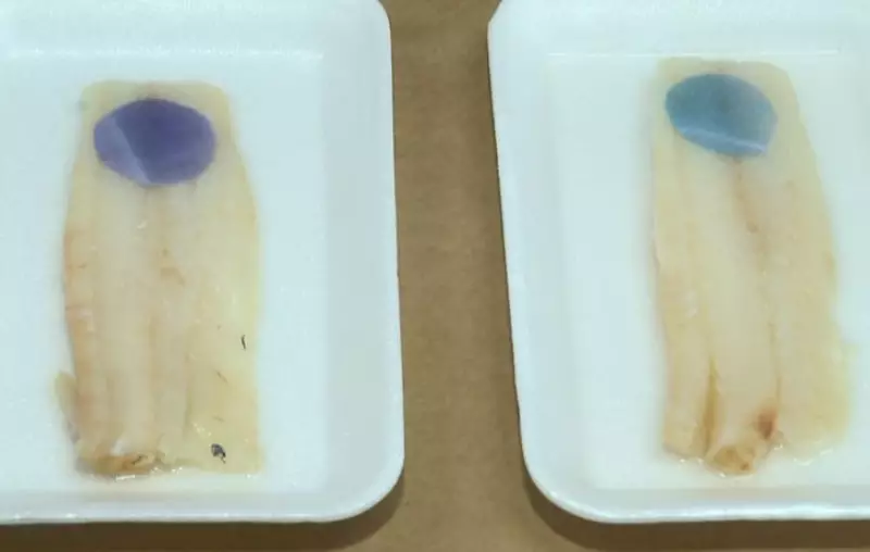 Embalagem inteligente de repolho roxo indica se peixe está bom para consumo