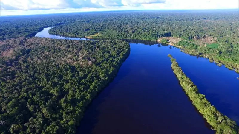 Empreendedorismo na Amazônia: Setor privado precisa ampliar investimentos, diz especialista