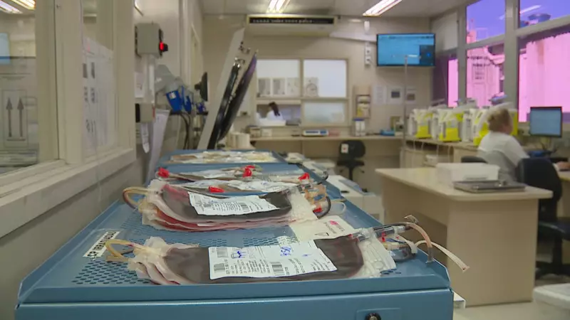 Escola em Porto Alegre lança campanha inovadora para doação de sangue: saiba como participar