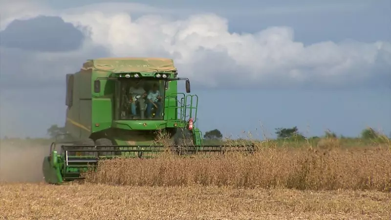 Especialista alerta: bloqueio de R$ 445 milhões do seguro rural pode devastar o agronegócio brasileiro