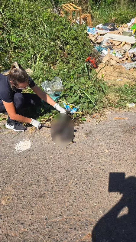 Estudante da UFMT é presa em Cuiabá sob suspeita de maus-tratos a animais adotados