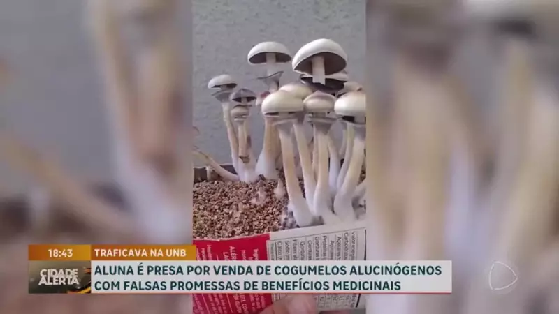 Estudante da UnB presa por tráfico de drogas: pena pode chegar a 31 anos de prisão