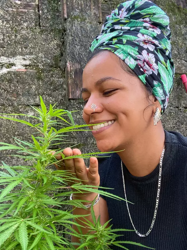 Estudante paraibana relata alívio e segurança ao cultivar cannabis medicinal com autorização judicial