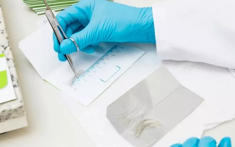 Exame Toxicológico para CNH: Quais Drogas São Detectadas e Como Funciona o Teste?