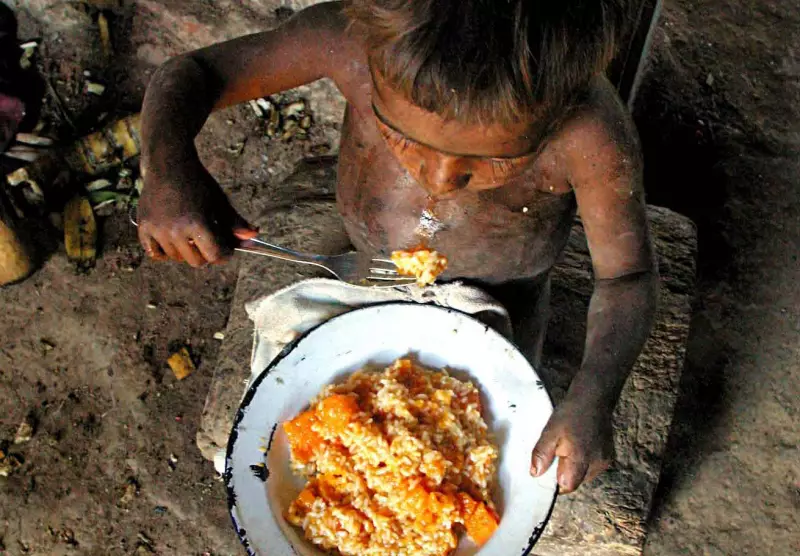 Exclusão alimentar atinge mais de 80% da população no Norte do Brasil, revela estudo