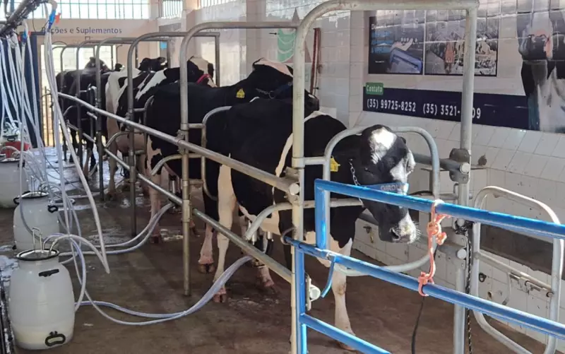 Expass Agro 2025 em Passos: Feira de agronegócio com torneio leiteiro, concurso de café e muito mais!