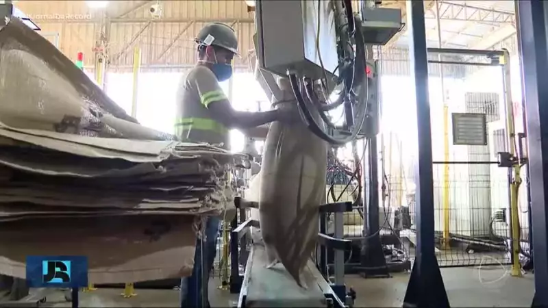 Exportação de café bate recorde em 2024, mesmo com alta nos preços dos grãos