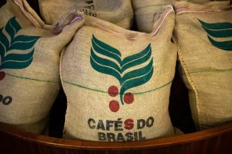 Exportações de café do Brasil caem 33% em maio, mas receita aumenta 21%: entenda os motivos