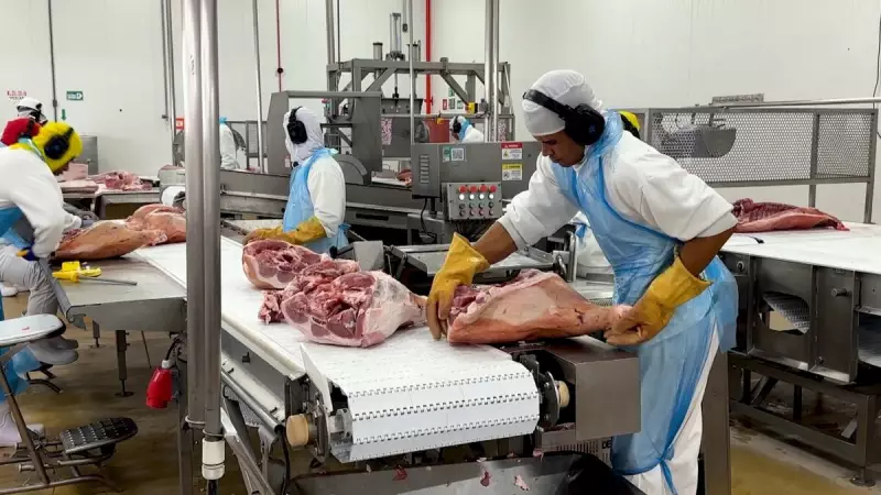 Exportações de carne suína brasileira disparam 137% em maio: entenda os motivos