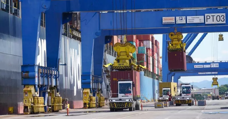 Exportações de Santa Catarina disparam: carnes lideram com faturamento acima de R$ 8 bilhões