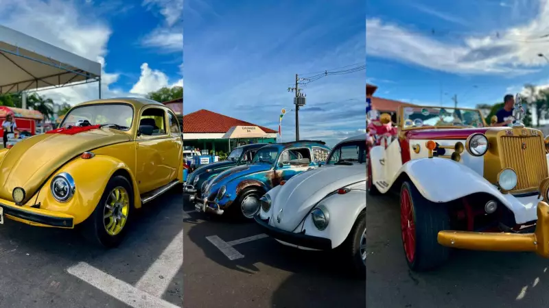 Exposição de Fusca celebra o Dia Mundial do carro icônico em Macapá