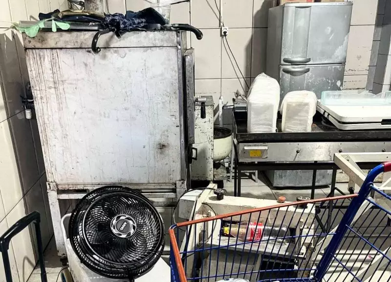 Fábrica de pizzas clandestina é interditada em SC por falta de higiene | Notícias R7