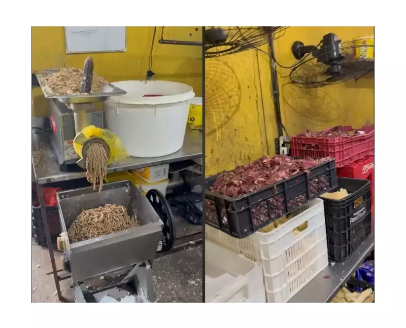 Fábrica de salgados é interditada no Rio por condições insalubres e risco à saúde