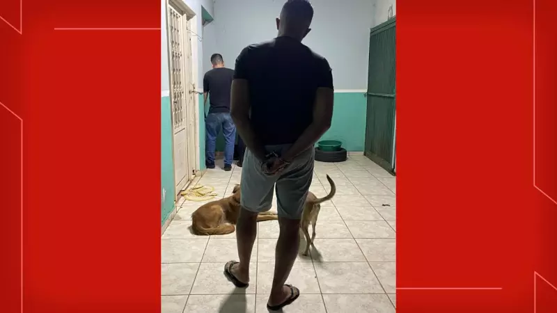 Falso veterinário é preso em Brazlândia por realizar cirurgias ilegais em animais — Veja o vídeo