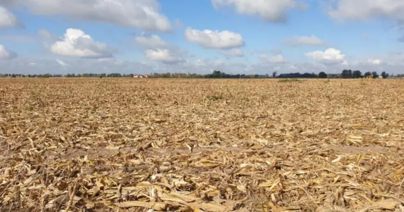 Falta d'água no Sul de SC: Cidade decreta situação de emergência e população sofre com racionamento