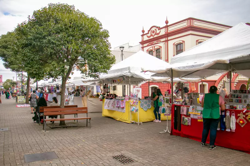 Feira de Inverno em São José dos Pinhais: Artesanato, Gastronomia e Inclusão em Destaque
