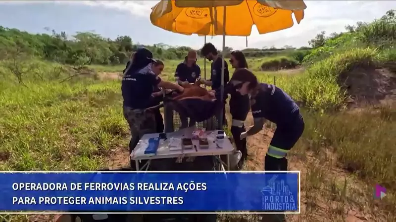 Ferrovias no Litoral Paulista adotam medidas para proteger animais silvestres