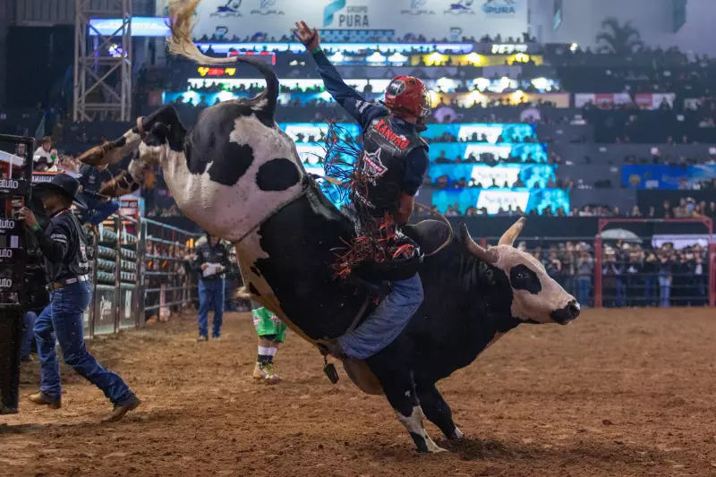 Festa do Peão de Americana 2025: Confira as melhores fotos da 2ª noite de rodeio e shows