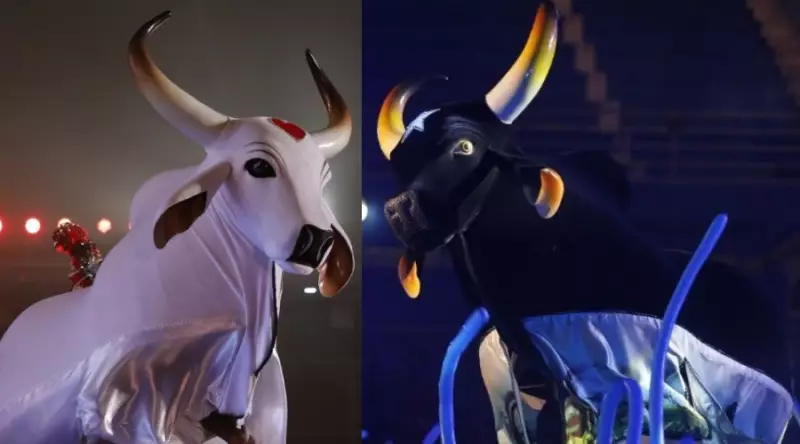Festival de Parintins 2025: Caprichoso e Garantido definem ordem das apresentações