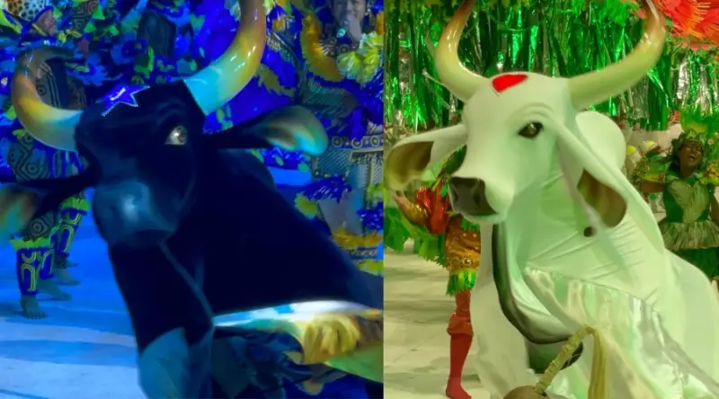 Festival de Parintins 2025: Garantido e Caprichoso brilham na primeira noite com temas ancestrais