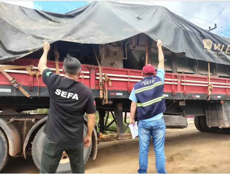 Filhotes de cães e gatos vítimas de maus-tratos são resgatados durante campanha de vacinação antirrábica em Belém