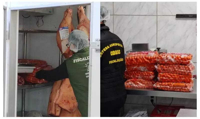 Fiscalização apreende mais de 600 kg de carne imprópria para consumo em Itapema, SC