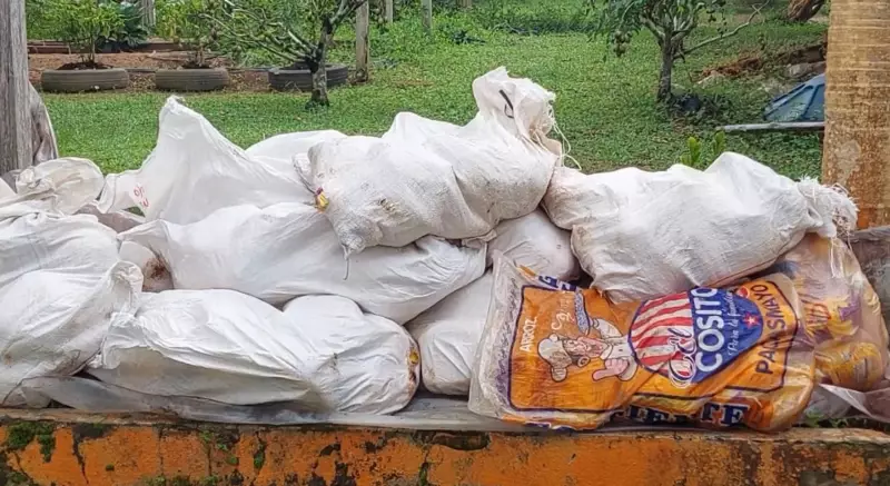 Fiscalização apreende quase uma tonelada de frango impróprio para consumo no Amazonas